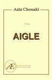 Aigle (eBook, ePUB)