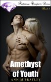 Amethyst of Youth (Forbidden Conflicts, #1) (eBook, ePUB)