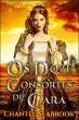 Os Doze Consortes de Cara (eBook, ePUB) - Bild 1