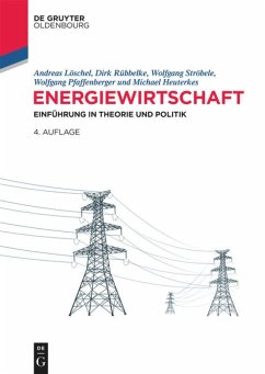 Energiewirtschaft - Löschel, Andreas; Rübbelke, Dirk; Ströbele, Wolfgang; Pfaffenberger, Wolfgang; Heuterkes, Michael