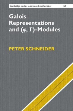 Galois Representations and (Phi, Gamma)-Modules (eBook, PDF) - Schneider, Peter