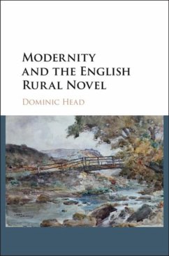 Modernity and the English Rural Novel (eBook, PDF) - Head, Dominic