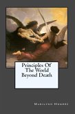 Principles of the World Beyond Death (eBook, ePUB)