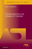 Fundamentals of Stability Theory (eBook, PDF)