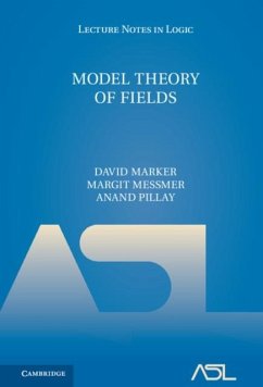 Model Theory of Fields (eBook, PDF) - Marker, David