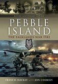 Pebble Island (eBook, ePUB)