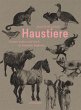 Haustiere - Bild 1