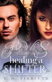 Healing A Shifter (Pepper Valley Shifters, #2) (eBook, ePUB)