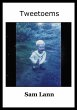 Tweetoems (eBook, ePUB) - Bild 1