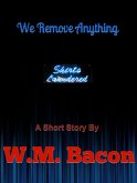 We Remove Anything (eBook, ePUB)