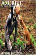 Azubike True Tales of a Teenager's... - Bild 1