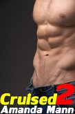 Cruised 2 (eBook, ePUB)