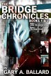 The Bridge Chronicles, Books 1 & 2... - Bild 1