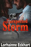 The Unexpected Storm (eBook, ePUB) The Unexpected Storm (eBook, ePUB)