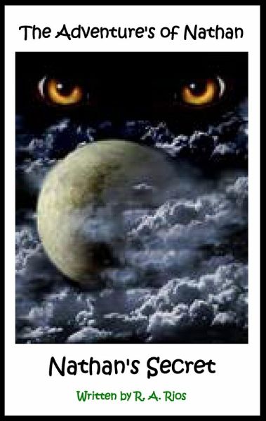 Nathan's Secret (eBook, ePUB)