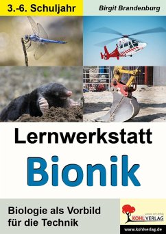 Lernwerkstatt Bionik (eBook, PDF) - Brandenburg, Birgit
