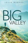 Big Valley (eBook, ePUB)