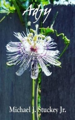 Cover Adjy (eBook, ePUB)