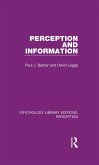 Perception and Information (eBook, ePUB)