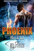 Phoenix (eBook, ePUB) Phoenix (eBook, ePUB)