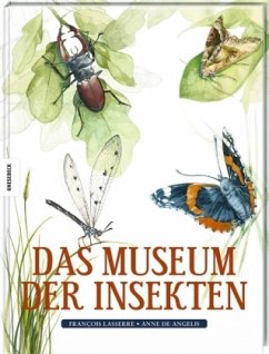 Das Museum der Insekten - Lasserre, François