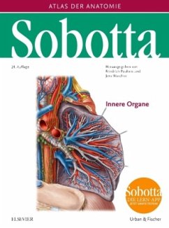 Sobotta, Atlas der Anatomie Band 2 / Atlas der Anatomie des Menschen 2 - Sobotta, Johannes