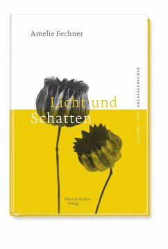 Licht und Schatten - Fechner, Amelie