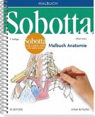 Sobotta Malbuch Anatomie