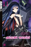 Accel World / Accel World - Novel Bd.11