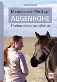 Mensch und Pferd auf Augenhöhe