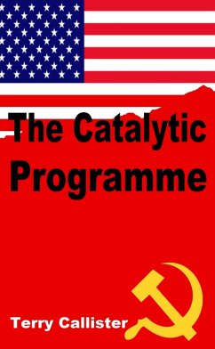 The Catalytic Programme (eBook, ePUB) - Callister, Terry