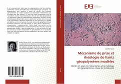 Mécanisme de prise et rhéologie de liants géopolymères modèles - Favier, Aurélie