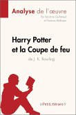 Harry Potter et la Coupe de feu de J. K. Rowling (Analyse de l'oeuvre) (eBook, ePUB)