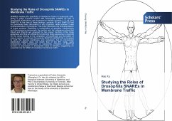 Studying the Roles of Drosophila SNAREs in Membrane Traffic - Xu, Hao