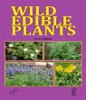 Wild Edible Plants (eBook, ePUB) - Bild 1