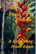A Long Way From Eden (eBook, ePUB) - Bild 1