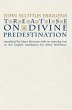 Treatise on Divine Predestination... - Bild 1