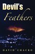 Devil's Feathers (eBook, ePUB) - Bild 1
