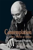 Contemplation in a World of Action (eBook, ePUB)