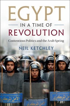 Cover Egypt in a Time of Revolution (eBook, PDF)