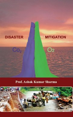 Cover Disaster Mitigation (eBook, ePUB)
