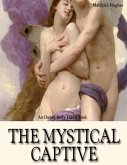The Mystical Captive (eBook, ePUB)