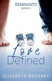 Love Defined (Remnants, #3) (eBook, ePUB)