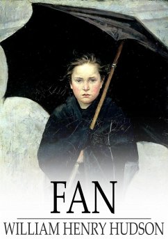 Cover Fan (eBook, ePUB)
