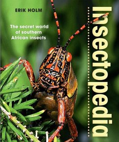 Cover Insectopedia - The secret world of southern African insects (eBook, PDF)