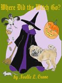 Where Did the Witch Go? (eBook, ePUB)
