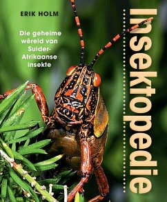 Insektopedie - Die geheime wêreld van Suider-Afrikaanse insekte (eBook, PDF) - Holm, Erik