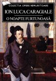 O noapte furtunoasa (eBook, ePUB)