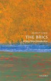 The BRICS: A Very Short Introduction (eBook, PDF)