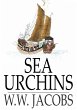 Sea Urchins (eBook, ePUB) - Bild 1